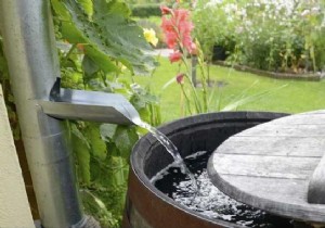 Use a Rainwater Collector to collect water for free. 