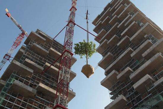 This Residential Tower of 117 Meters is the First Building Covered with Evergreen Trees. 