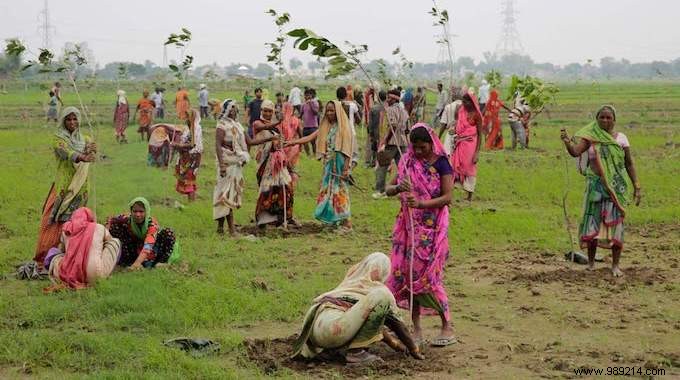 50 Million Trees Planted In 1 Single Day! India Breaks a World Record for the Planet. 