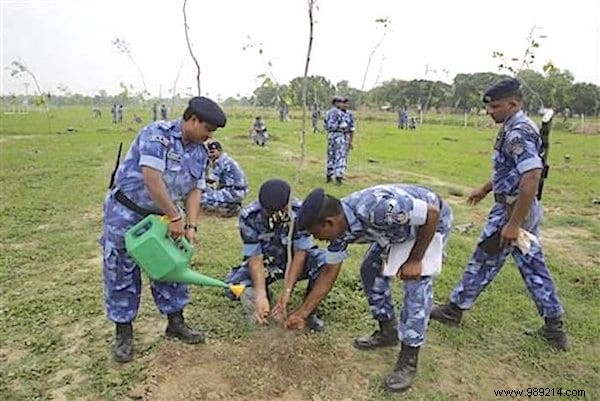 50 Million Trees Planted In 1 Single Day! India Breaks a World Record for the Planet. 