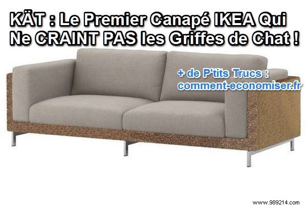 KÄT:The First IKEA Sofa That IS NOT AFRAID of Cat s Claws! 