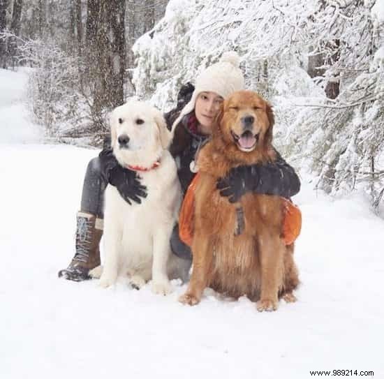 This Dog Knows Exactly How To Calm His Brothers Anxiety. 