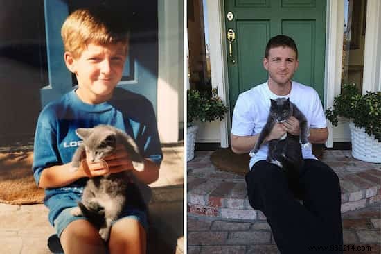 39 Before/After Photos That Show How Love Changed These Cats  Lives. 