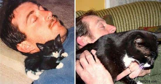 39 Before/After Photos That Show How Love Changed These Cats  Lives. 