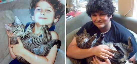 39 Before/After Photos That Show How Love Changed These Cats  Lives. 