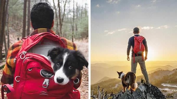 Camping With Your Dog Is An Incredible Experience! The Proof in 20 Photos. 