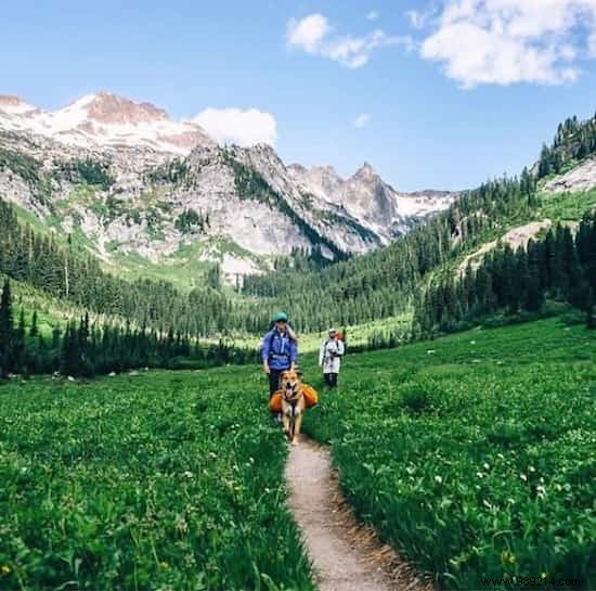 Camping With Your Dog Is An Incredible Experience! The Proof in 20 Photos. 