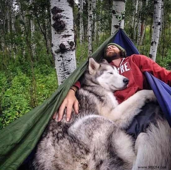 Camping With Your Dog Is An Incredible Experience! The Proof in 20 Photos. 