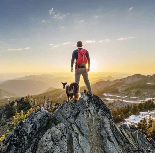 Camping With Your Dog Is An Incredible Experience! The Proof in 20 Photos. 