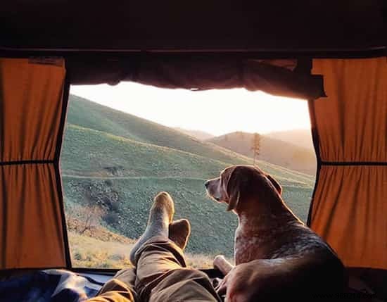 Camping With Your Dog Is An Incredible Experience! The Proof in 20 Photos. 