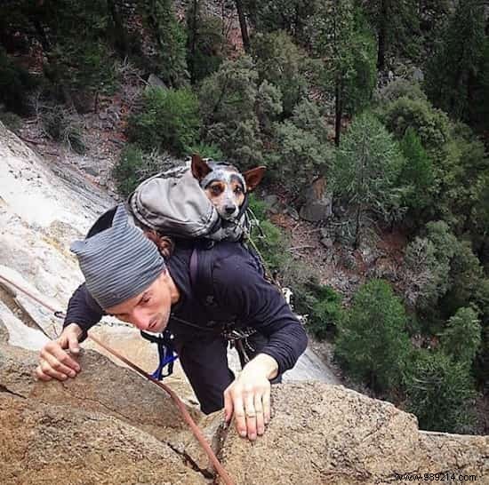 Camping With Your Dog Is An Incredible Experience! The Proof in 20 Photos. 