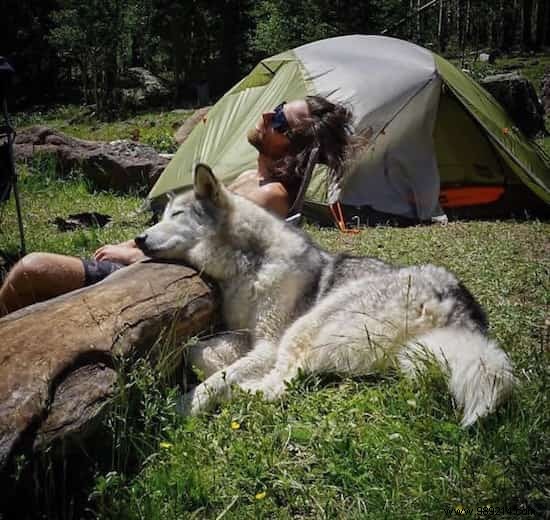 Camping With Your Dog Is An Incredible Experience! The Proof in 20 Photos. 