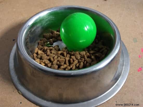 Smart product:The bowl that forces your dog to eat gently. 