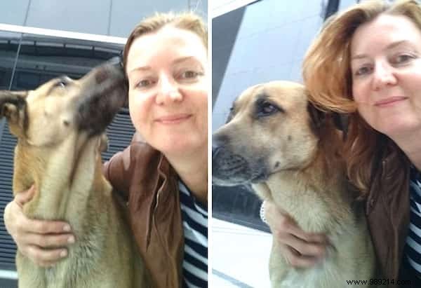 Shocking:A Stray Dog Waits 6 Months for an Air Hostess in Front of Her Hotel. 