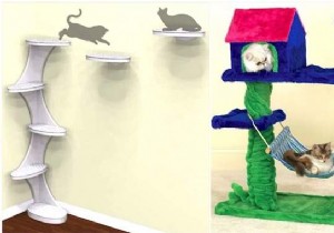 The 20 Best Cat Trees That All Cats Dream Of Having! 