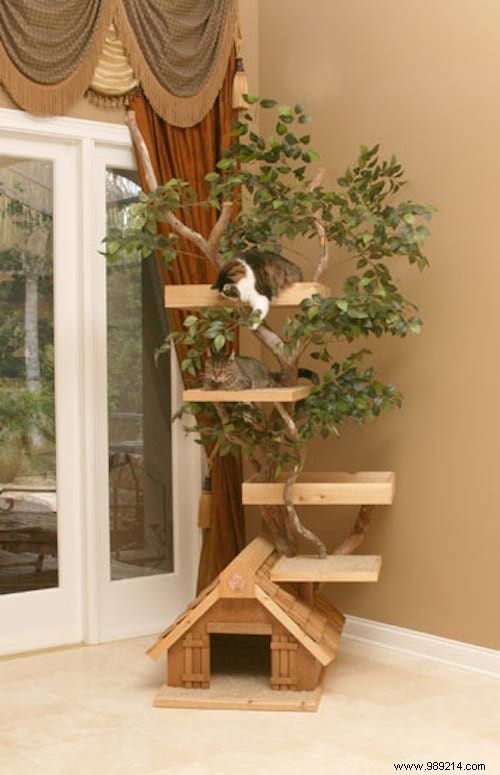 The 20 Best Cat Trees That All Cats Dream Of Having! 