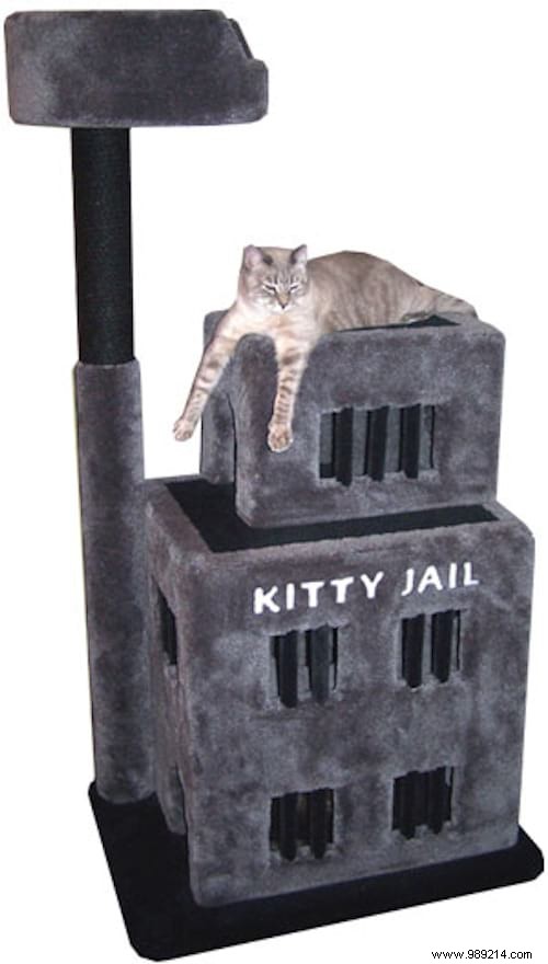 The 20 Best Cat Trees That All Cats Dream Of Having! 