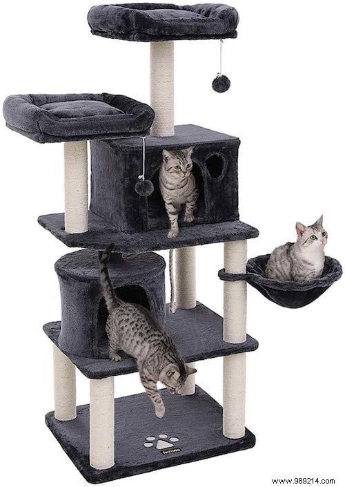 The 20 Best Cat Trees That All Cats Dream Of Having! 