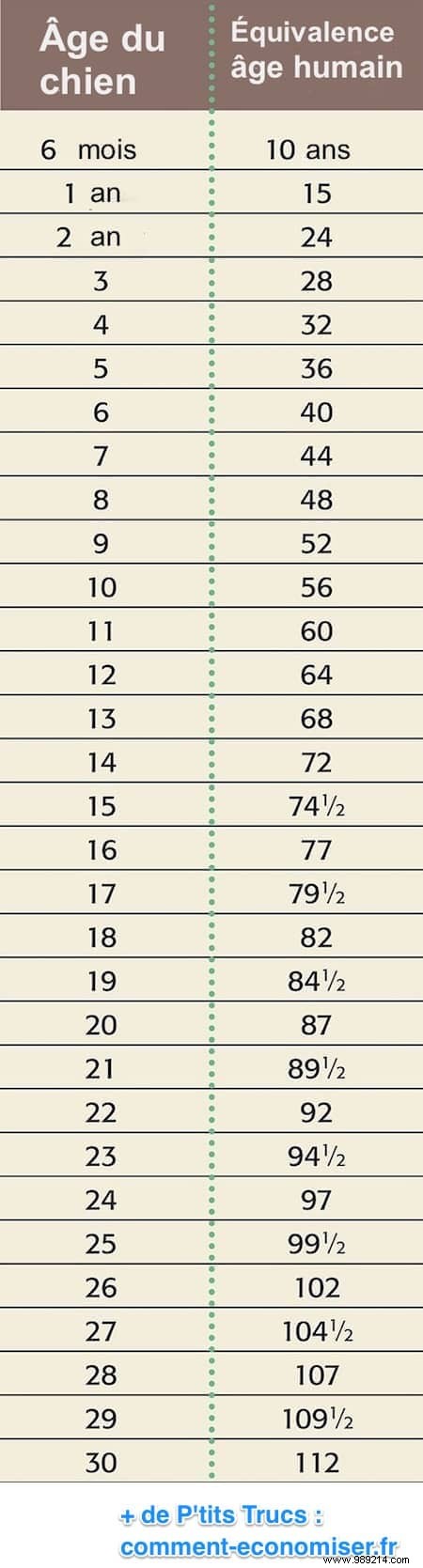 How Old Is Your Dog in Human Age? Here is the Easy to Read Correspondence Chart. 