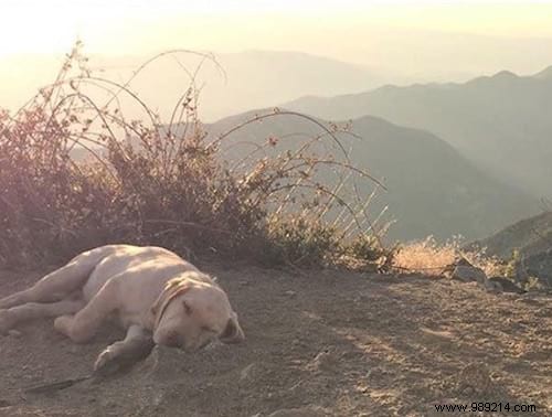 19 Photos Of Animals Discovering Something For The Very First Time. 