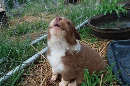 19 Photos Of Animals Discovering Something For The Very First Time. 