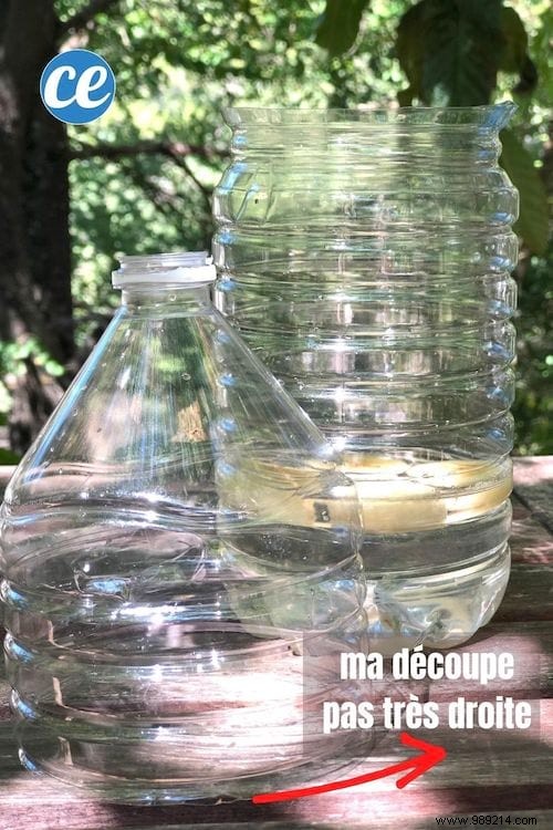 How to Make an Effective Fly Trap With a Plastic Bottle. 