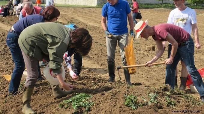 Save On Food With Gleaning. 