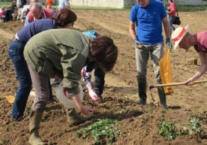 Save On Food With Gleaning. 