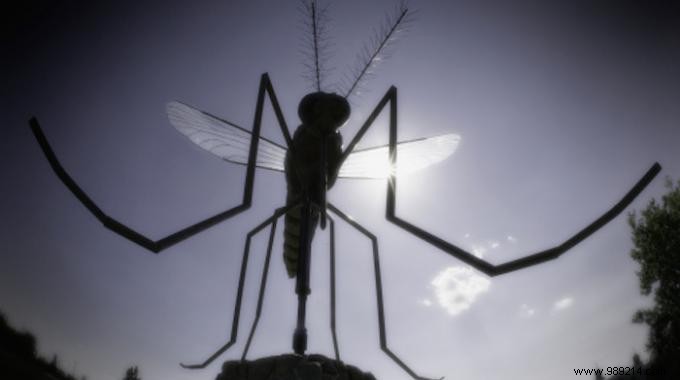 Finally an Effective Mosquito Repellent WITHOUT Chemicals. 