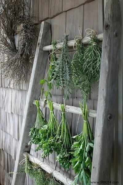 19 Clever Ways to Recycle Old Ladders. 