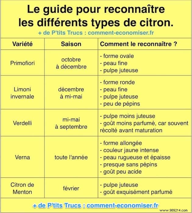 How to EASILY Recognize the Different Varieties of LEMON. 