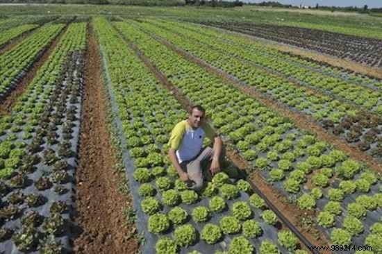 French Farmers Are Massively Converting To Organic. 