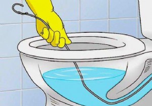 How to unclog the toilet easily? Without ending up in the hole... 