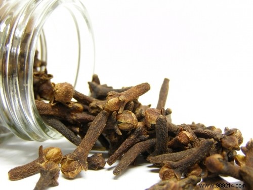 Scare away Moths with Cloves or Lemon. 