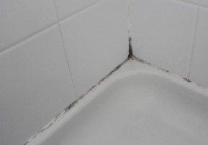 The trick that works to remove mold from tile grout. 