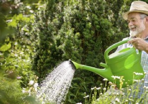 The Tip For Watering Your Plants Gently With A Garden Hose. 