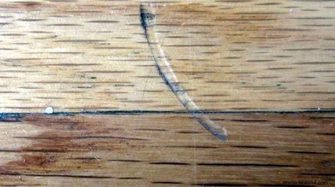 The Magic Trick to Repair a Dent in Wooden Flooring. 