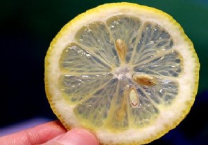 3 Lemon Uses Everyone Should Know. 