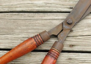 The Magic Trick To Remove Rust From Tools. 