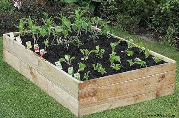 The 5 Secrets Of Effortless Gardening. 