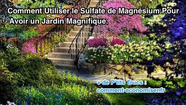 How To Use Magnesium Sulfate For A Beautiful Garden. 