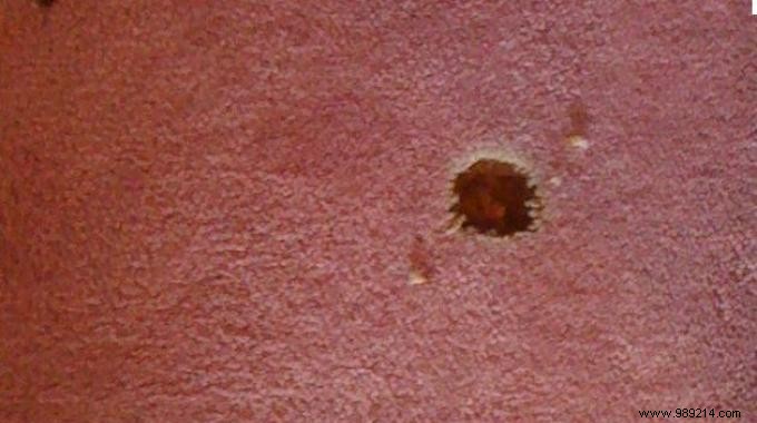 Burnt carpet? The Simple Trick To Fix It. 