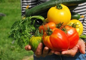 The Practical Guide to Combining the Vegetables in your Vegetable Garden. 