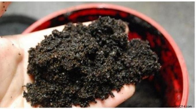 7 Amazing Ways to Use Coffee Grounds. 