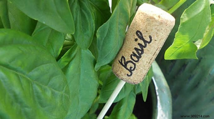 The Ingenious Trick To Make Beautiful Vegetable Patches in 2 min. 