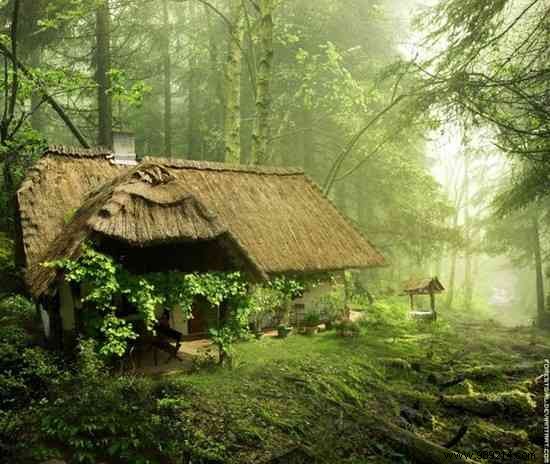 11 Magical Homes in the Heart of Nature You Would Love to Live In. 