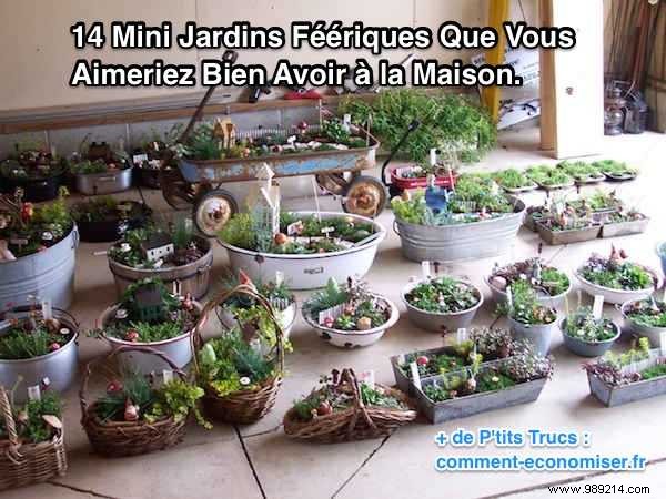 14 Miniature Gardens That Will Make You Dream. 