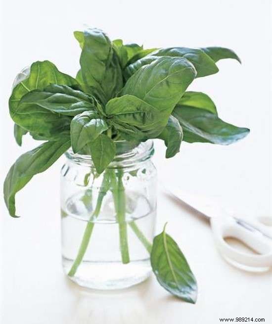 12 Ingenious Ways to Recycle Your Glass Jars. 