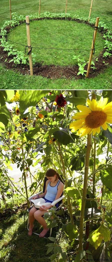 15 Awesome and Inexpensive Ideas for the Garden. 