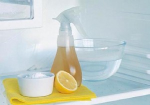 2 Simple and Effective Tips to Disinfect the Fridge WITHOUT Bleach. 